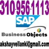 SAP-BPC-Training-SAP-BPC-Online-Training-SAP-BPC-SAP-BPC-7-5-SAP-BPC-7-5-NW-Training