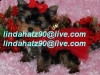 Nice-Charming-Male-and-Femal-Teacup-Yorkie-Puppies